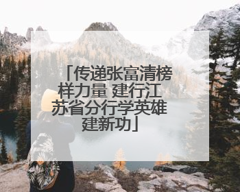 传递张富清榜样力量 建行江苏省分行学英雄建新功