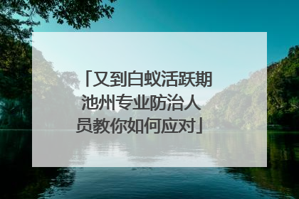 又到白蚁活跃期 池州专业防治人员教你如何应对