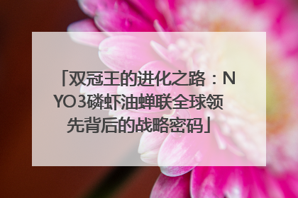 双冠王的进化之路：NYO3磷虾油蝉联全球领先背后的战略密码
