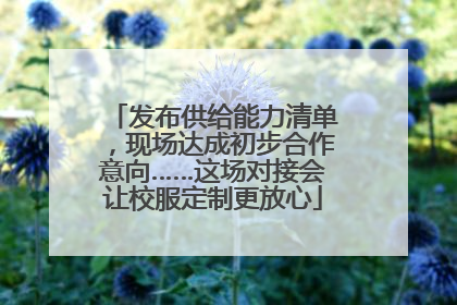 发布供给能力清单，现场达成初步合作意向……这场对接会让校服定制更放心