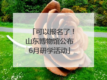 可以报名了！山东博物馆公布6月研学活动