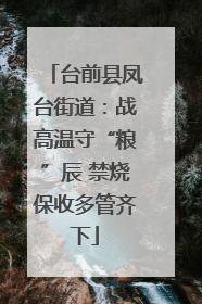 台前县凤台街道：战高温守“粮”辰 禁烧保收多管齐下