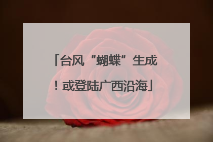 台风“蝴蝶”生成！或登陆广西沿海