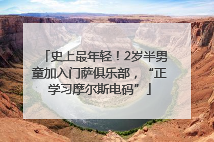 史上最年轻！2岁半男童加入门萨俱乐部，“正学习摩尔斯电码”
