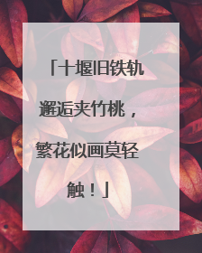 十堰旧铁轨邂逅夹竹桃，繁花似画莫轻触！
