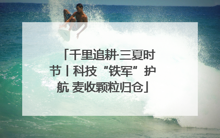 千里追耕·三夏时节丨科技“铁军”护航 麦收颗粒归仓