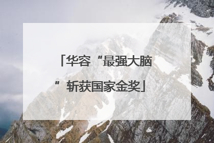 华容“最强大脑”斩获国家金奖
