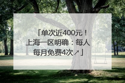 单次近400元！上海一区明确：每人每月免费4次↗
