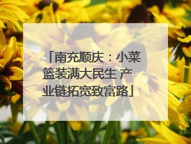 南充顺庆：小菜篮装满大民生 产业链拓宽致富路