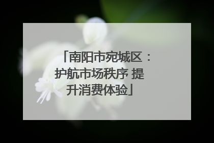 南阳市宛城区：护航市场秩序 提升消费体验