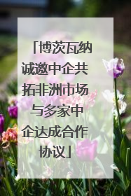 博茨瓦纳诚邀中企共拓非洲市场 与多家中企达成合作协议