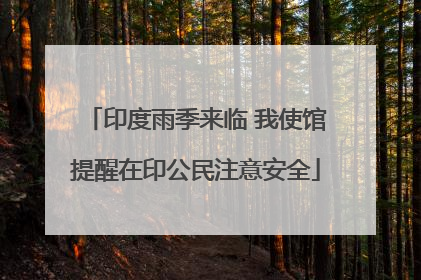 印度雨季来临 我使馆提醒在印公民注意安全
