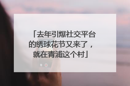 去年引爆社交平台的绣球花节又来了，就在青浦这个村