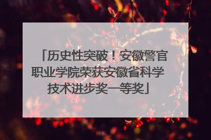 历史性突破！安徽警官职业学院荣获安徽省科学技术进步奖一等奖