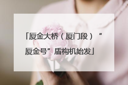 厦金大桥（厦门段）“厦金号”盾构机始发