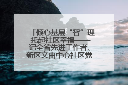 倾心基层“智”理 托起社区幸福——记全省先进工作者、新区文曲中心社区党委书记董世弘