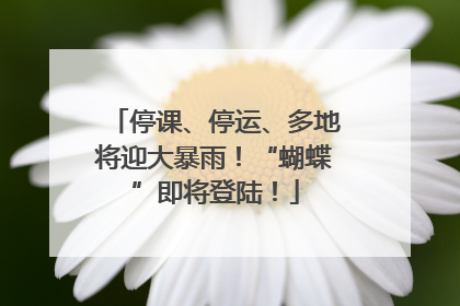 停课、停运、多地将迎大暴雨！“蝴蝶”即将登陆！