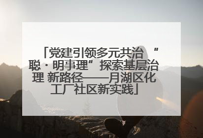 党建引领多元共治 “聪・明事理”探索基层治理 新路径——月湖区化工厂社区新实践