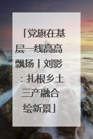 党旗在基层一线高高飘扬丨刘影：扎根乡土 三产融合绘新景