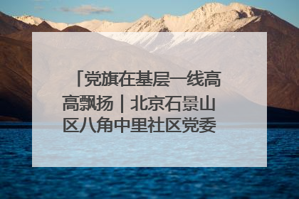 党旗在基层一线高高飘扬｜北京石景山区八角中里社区党委：用脚步丈量民生
