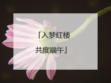 入梦红楼 共度端午