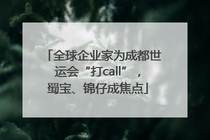 全球企业家为成都世运会“打call”，蜀宝、锦仔成焦点
