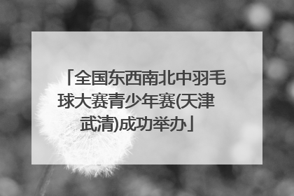 全国东西南北中羽毛球大赛青少年赛(天津武清)成功举办