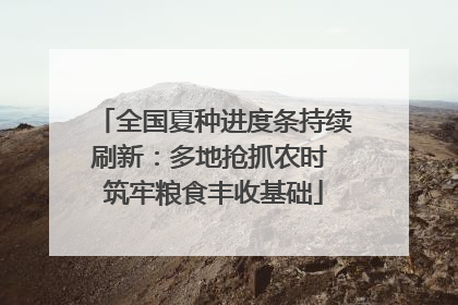全国夏种进度条持续刷新：多地抢抓农时 筑牢粮食丰收基础