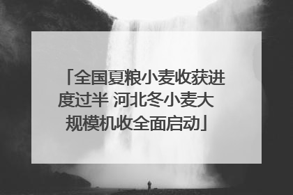 全国夏粮小麦收获进度过半 河北冬小麦大规模机收全面启动