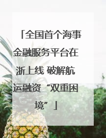 全国首个海事金融服务平台在浙上线 破解航运融资“双重困境”