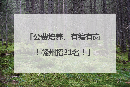 公费培养、有编有岗！赣州招31名！