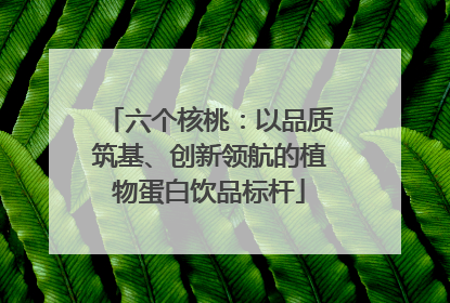 六个核桃：以品质筑基、创新领航的植物蛋白饮品标杆
