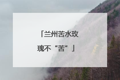 兰州苦水玫瑰不“苦”