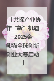 共探产业协作“新”机遇 2025金熊猫全球创新创业大赛启动