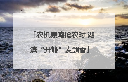 农机轰鸣抢农时 湖滨“开镰”麦飘香