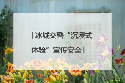 冰城交警“沉浸式体验”宣传安全