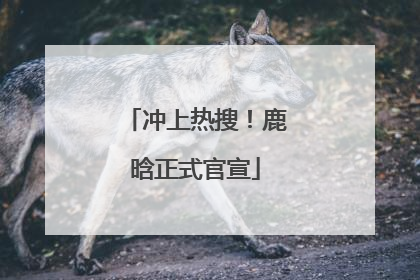 冲上热搜！鹿晗正式官宣