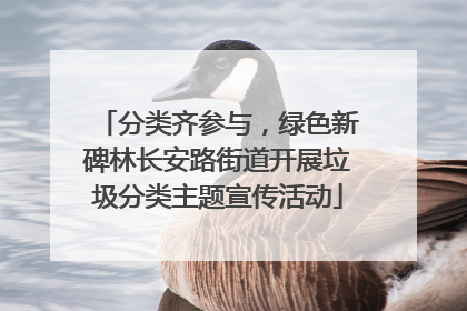 分类齐参与，绿色新碑林长安路街道开展垃圾分类主题宣传活动