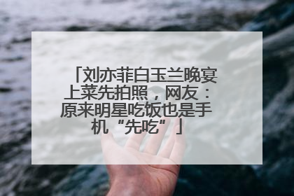 刘亦菲白玉兰晚宴上菜先拍照，网友：原来明星吃饭也是手机“先吃”