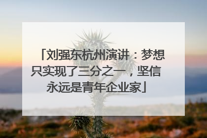 刘强东杭州演讲：梦想只实现了三分之一，坚信永远是青年企业家