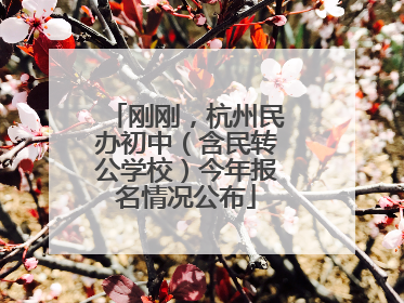 刚刚，杭州民办初中（含民转公学校）今年报名情况公布