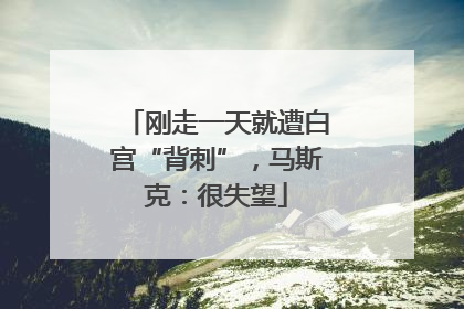 刚走一天就遭白宫“背刺”，马斯克：很失望