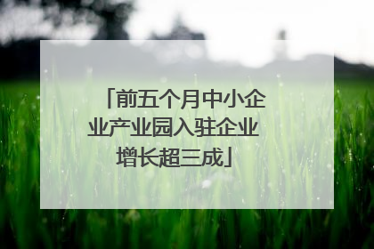 前五个月中小企业产业园入驻企业增长超三成