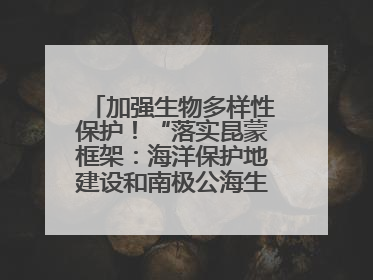 加强生物多样性保护！“落实昆蒙框架：海洋保护地建设和南极公海生态保护”主题论坛将举办