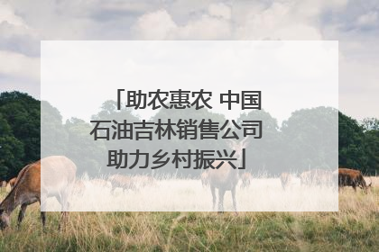 助农惠农 中国石油吉林销售公司助力乡村振兴
