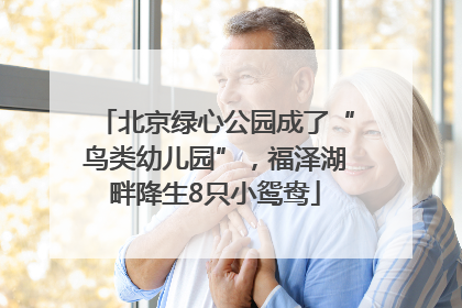 北京绿心公园成了“鸟类幼儿园”，福泽湖畔降生8只小鸳鸯