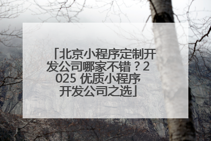北京小程序定制开发公司哪家不错？2025 优质小程序开发公司之选