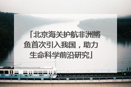 北京海关护航非洲鳉鱼首次引入我国，助力生命科学前沿研究