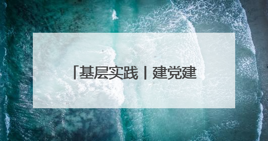 基层实践丨建党建联盟 聚振兴功能