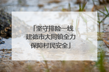 坚守排险一线 建德市大同镇全力保障村民安全